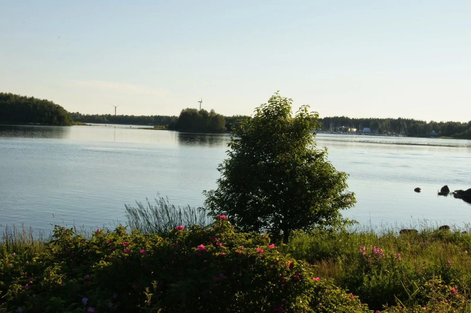 7.7 Oulu