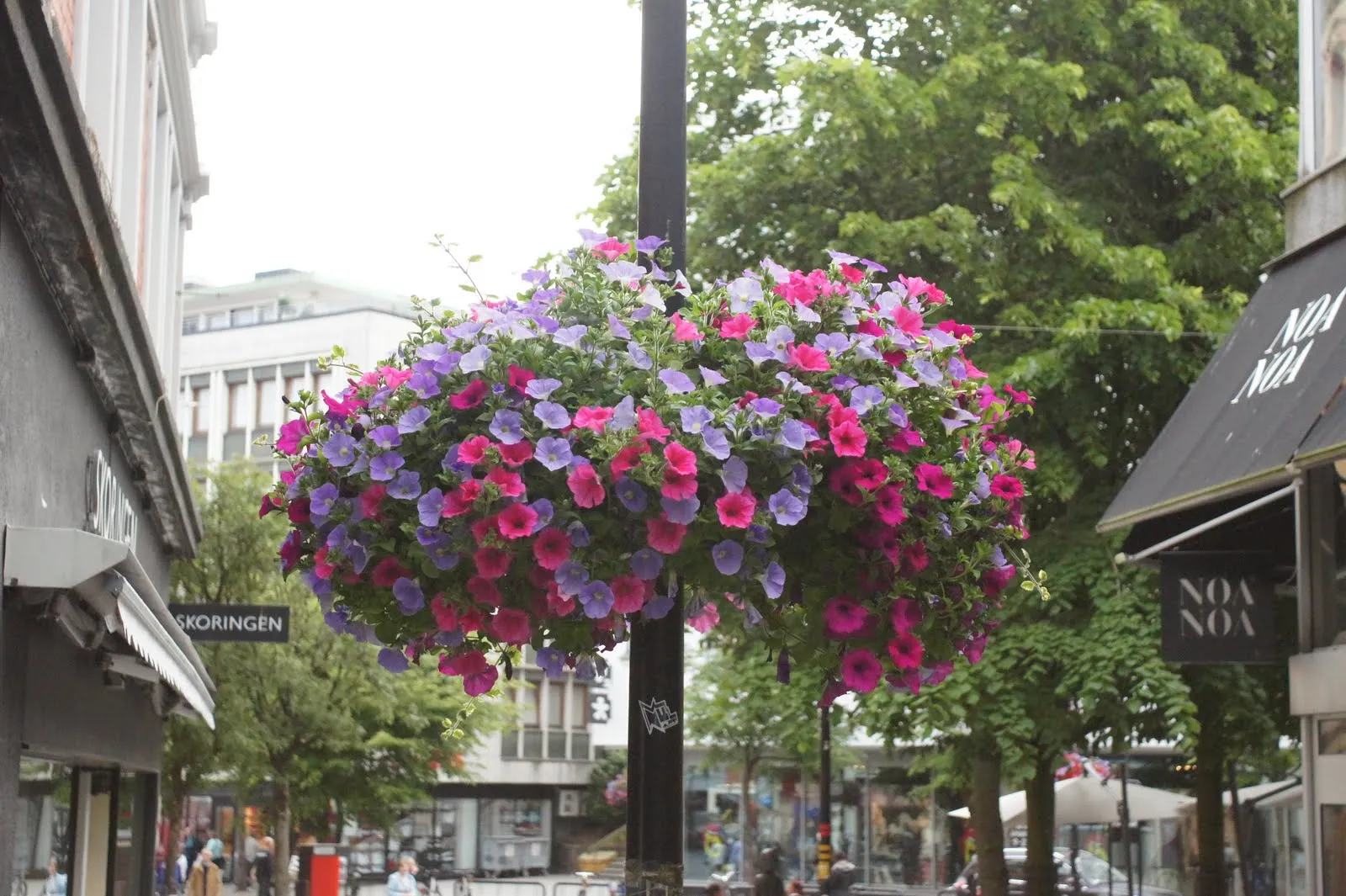 Decorations all around the city