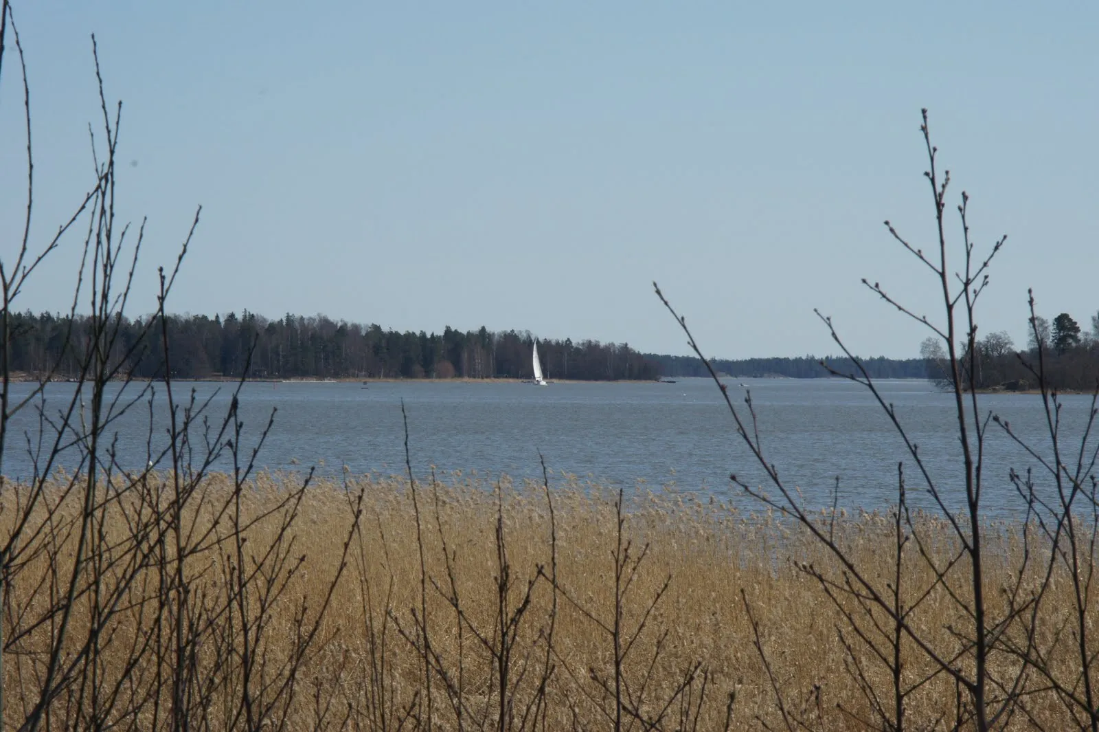 First sailboat of the year