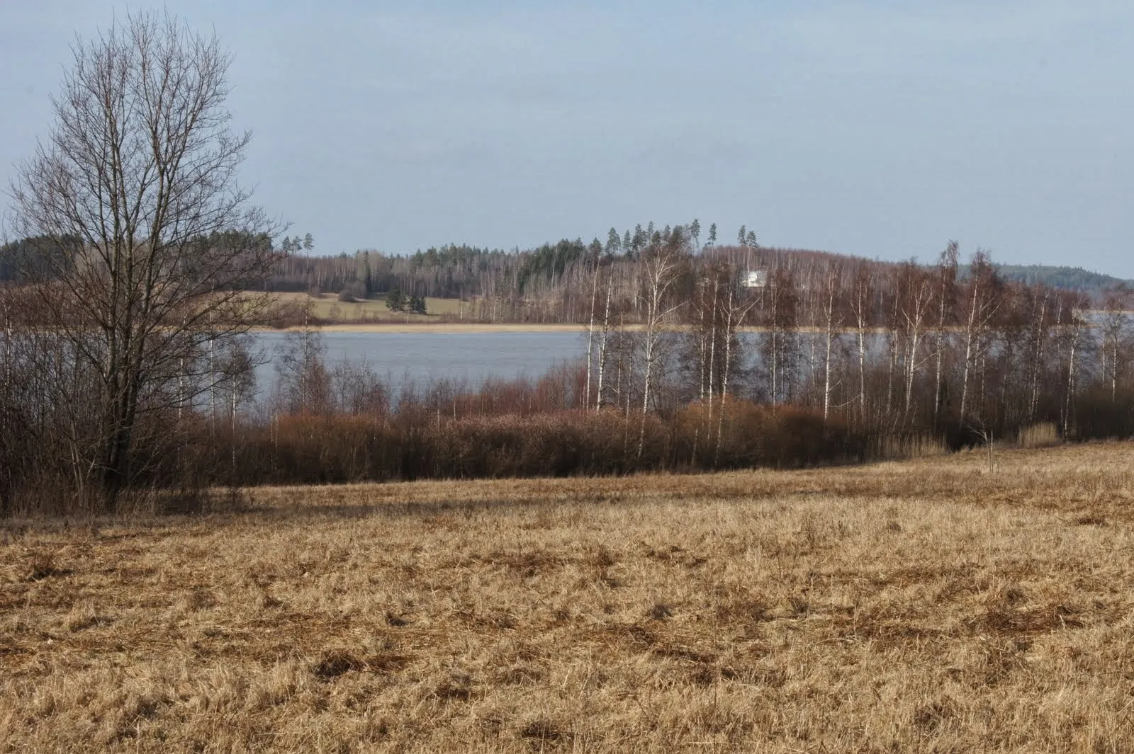Karjaa