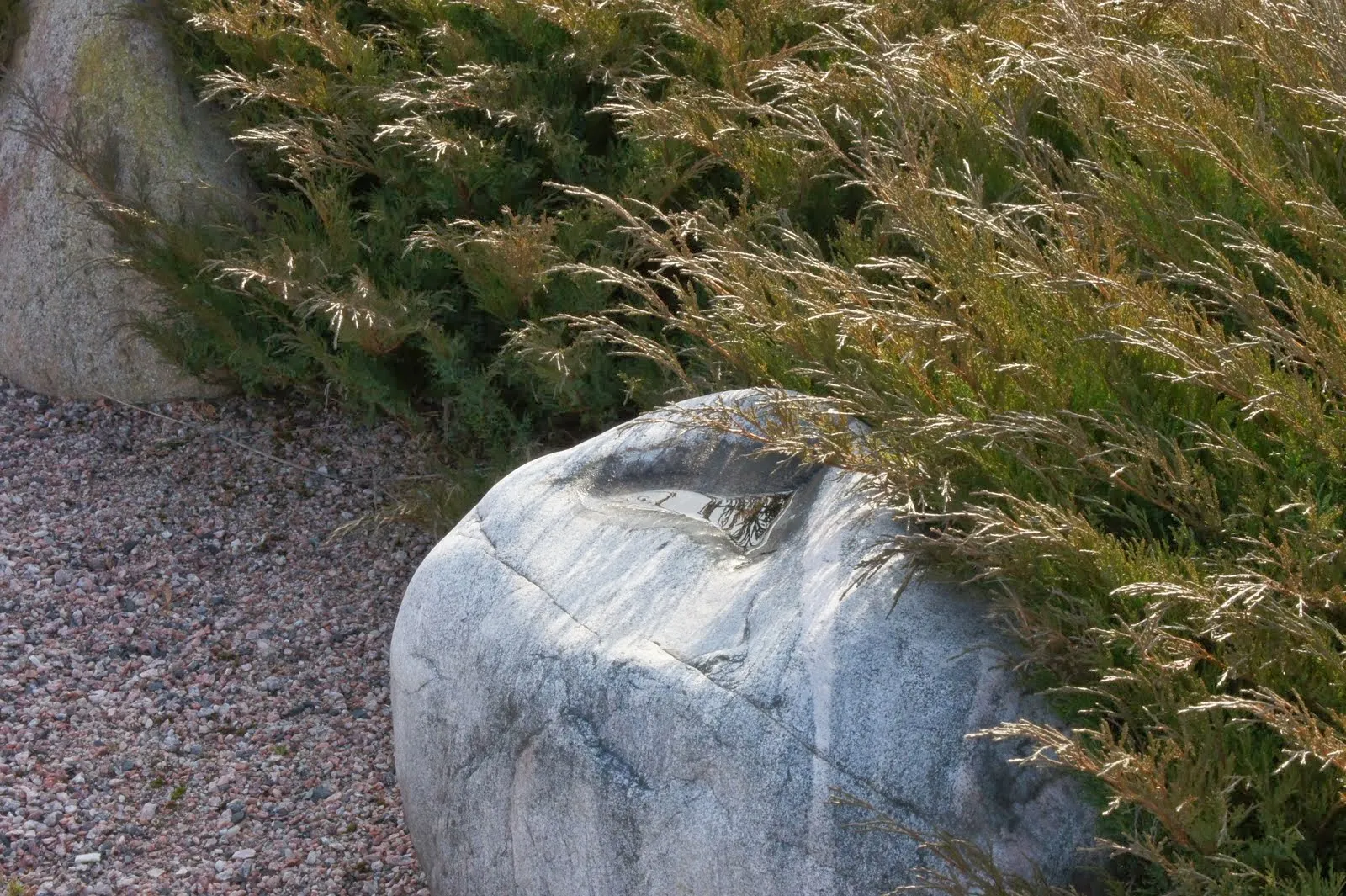 Karjaa