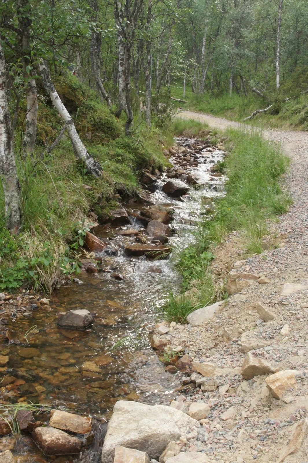 6.7 Saariselkä