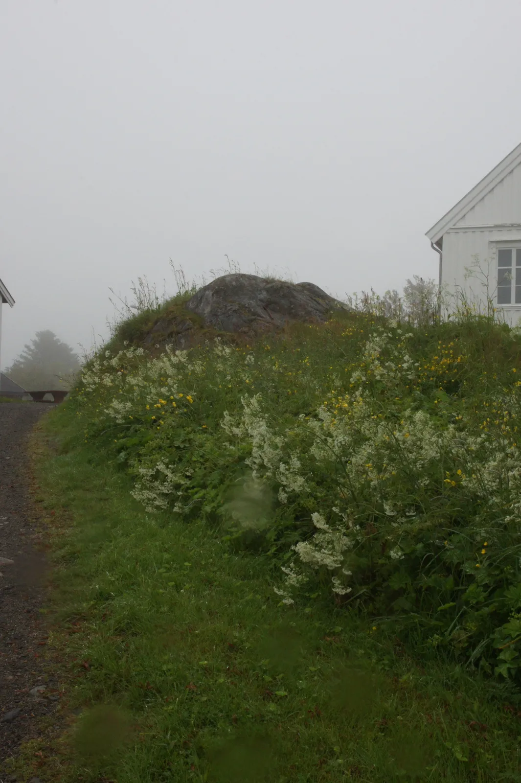 Skrei experience center