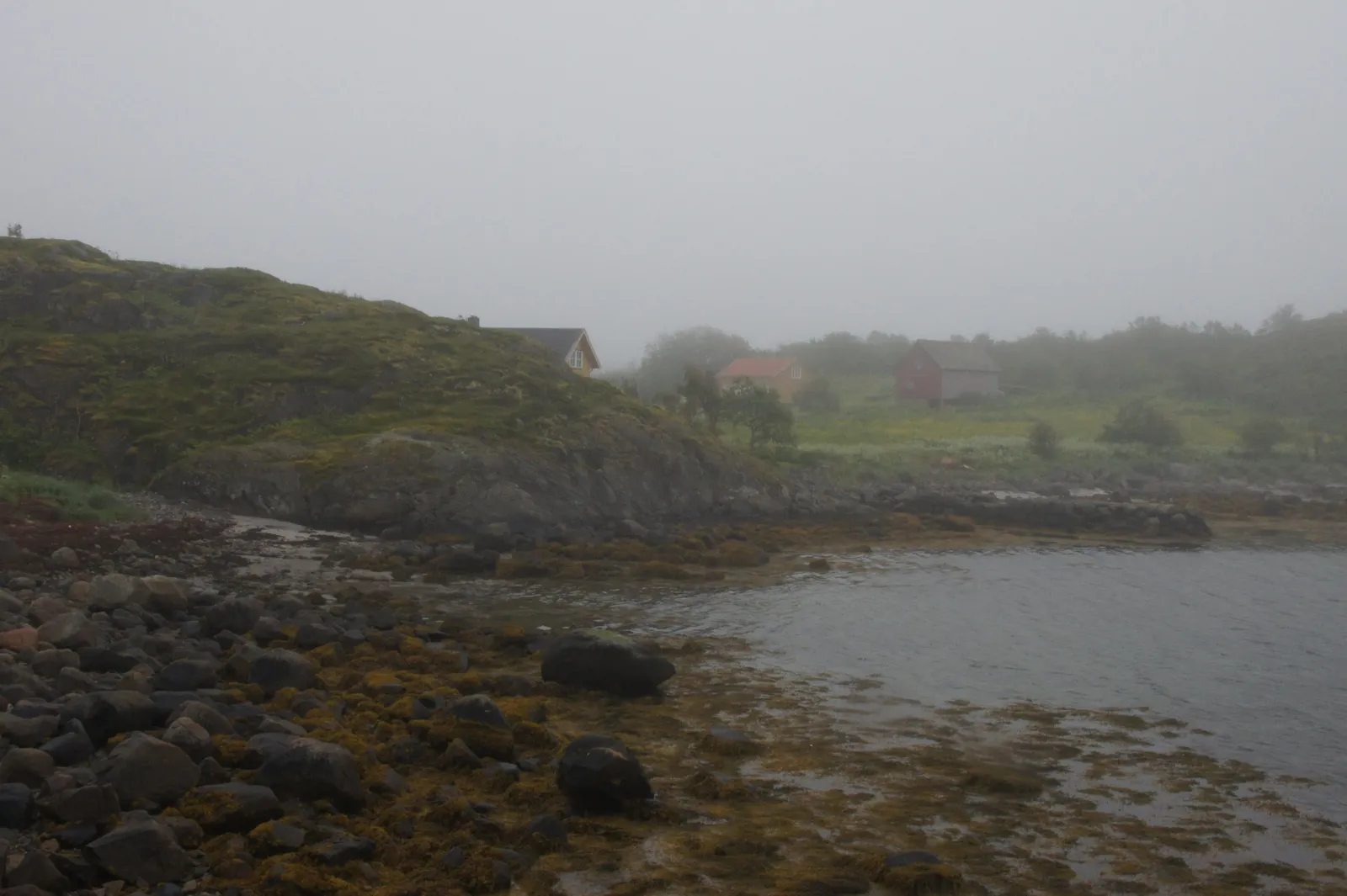 Skrei experience center