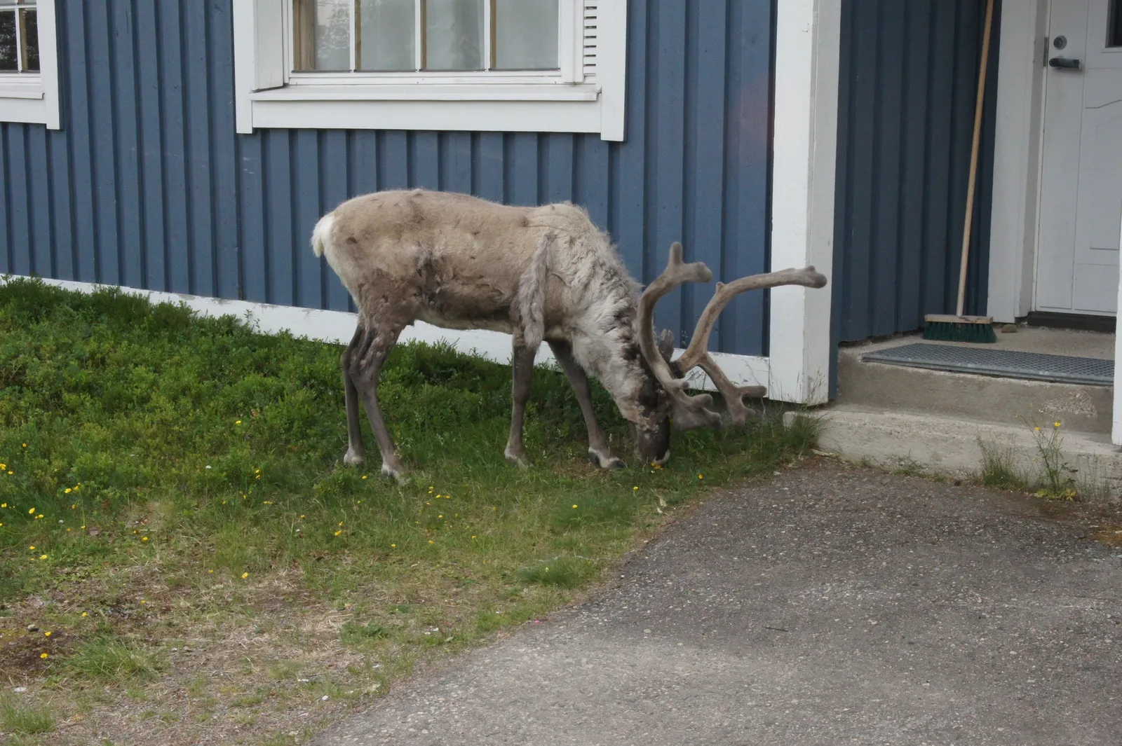 6.7 Saariselkä