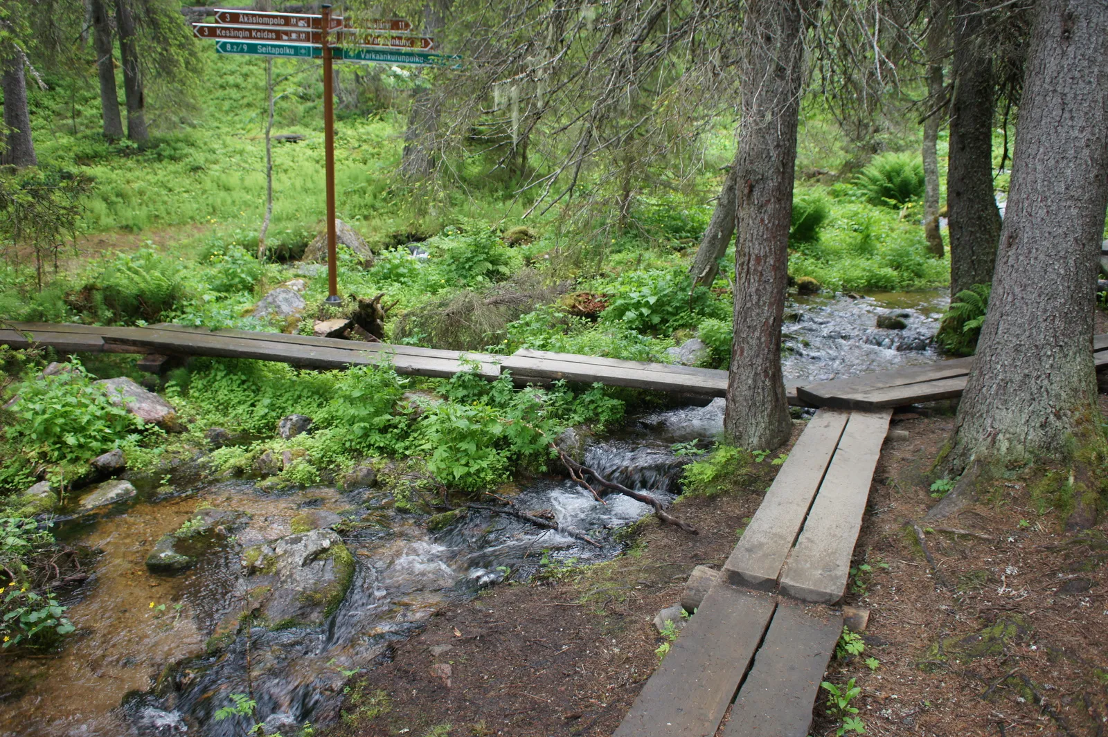 12.7 Varkaankurun polku // The Varkaankuru Trail