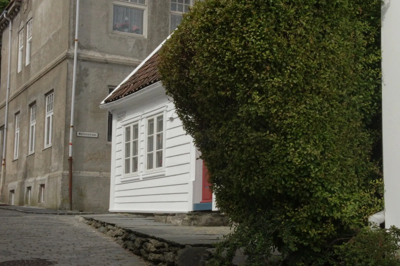 Around the old town