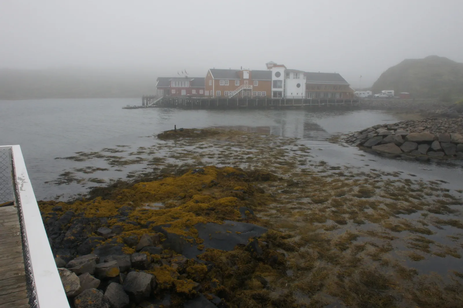 Skrei experience center