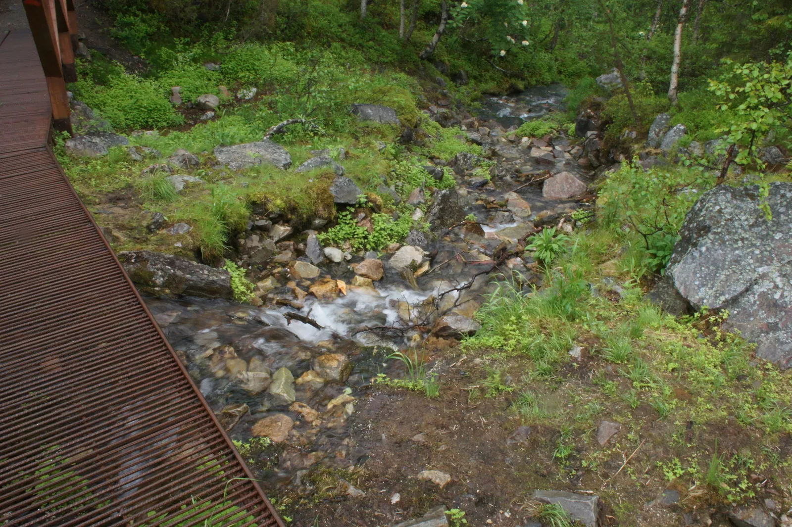 12.7 Varkaankurun polku // The Varkaankuru Trail