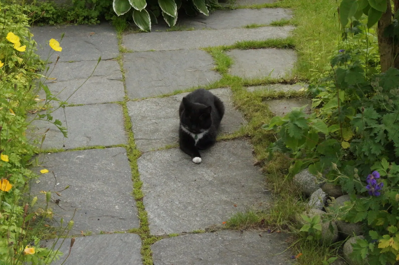Someone is chilling out