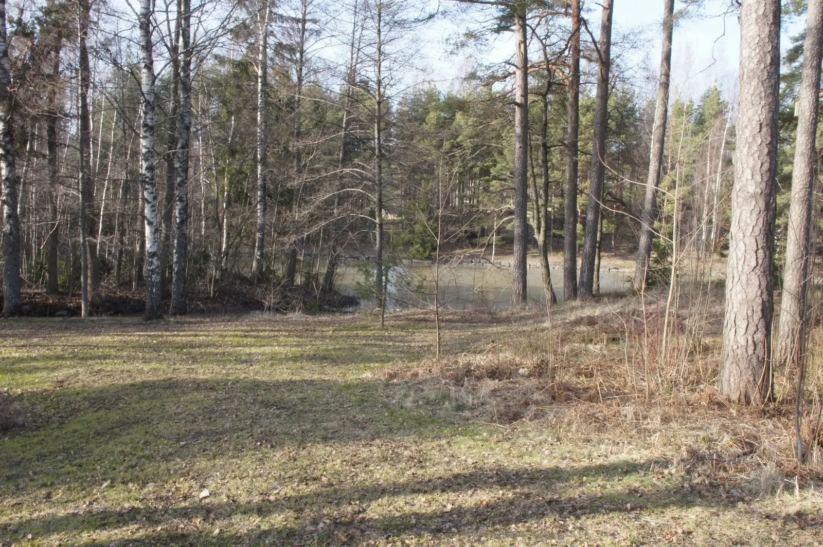 Karjaa