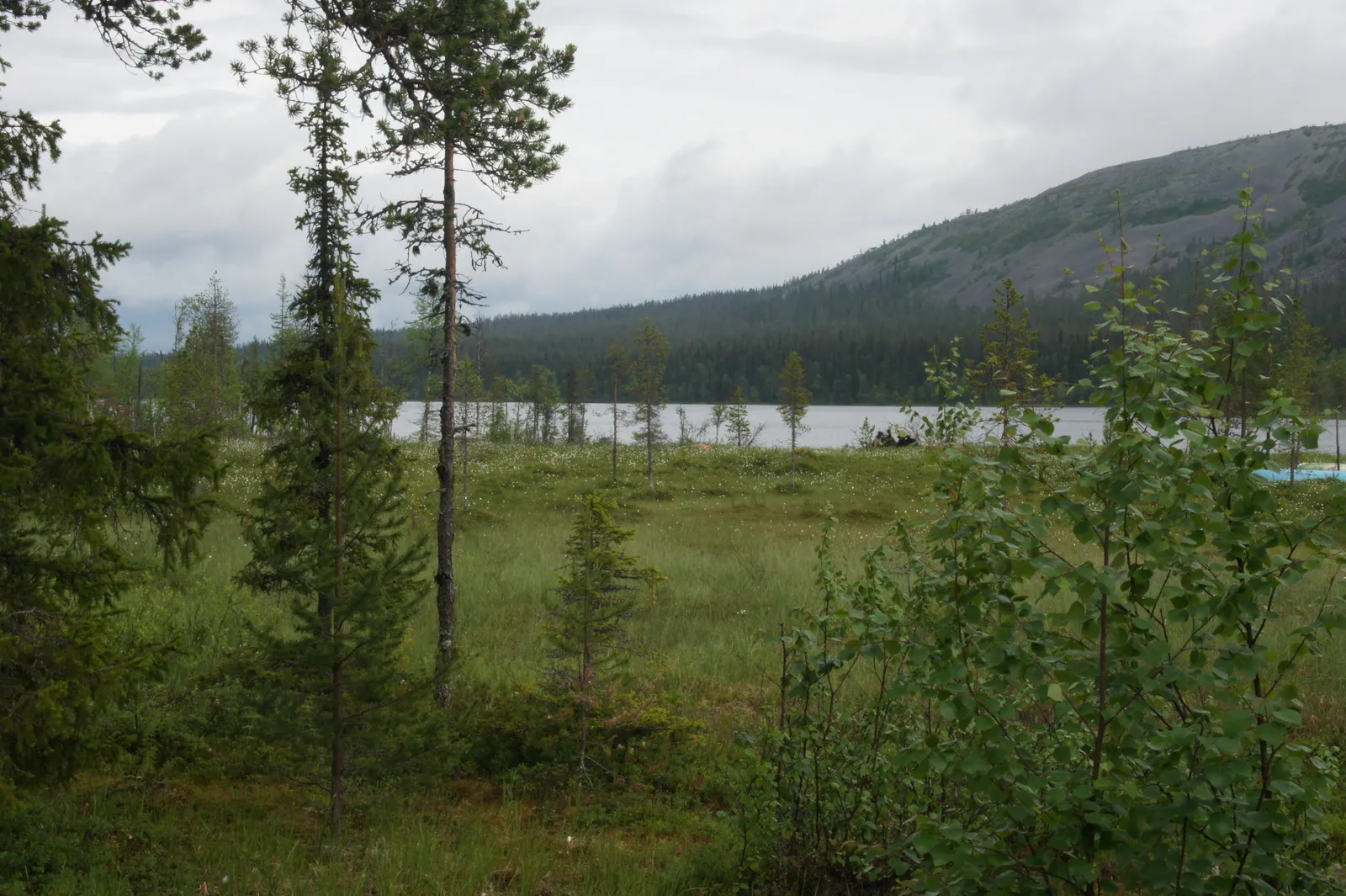 12.7 Kesankijärvi