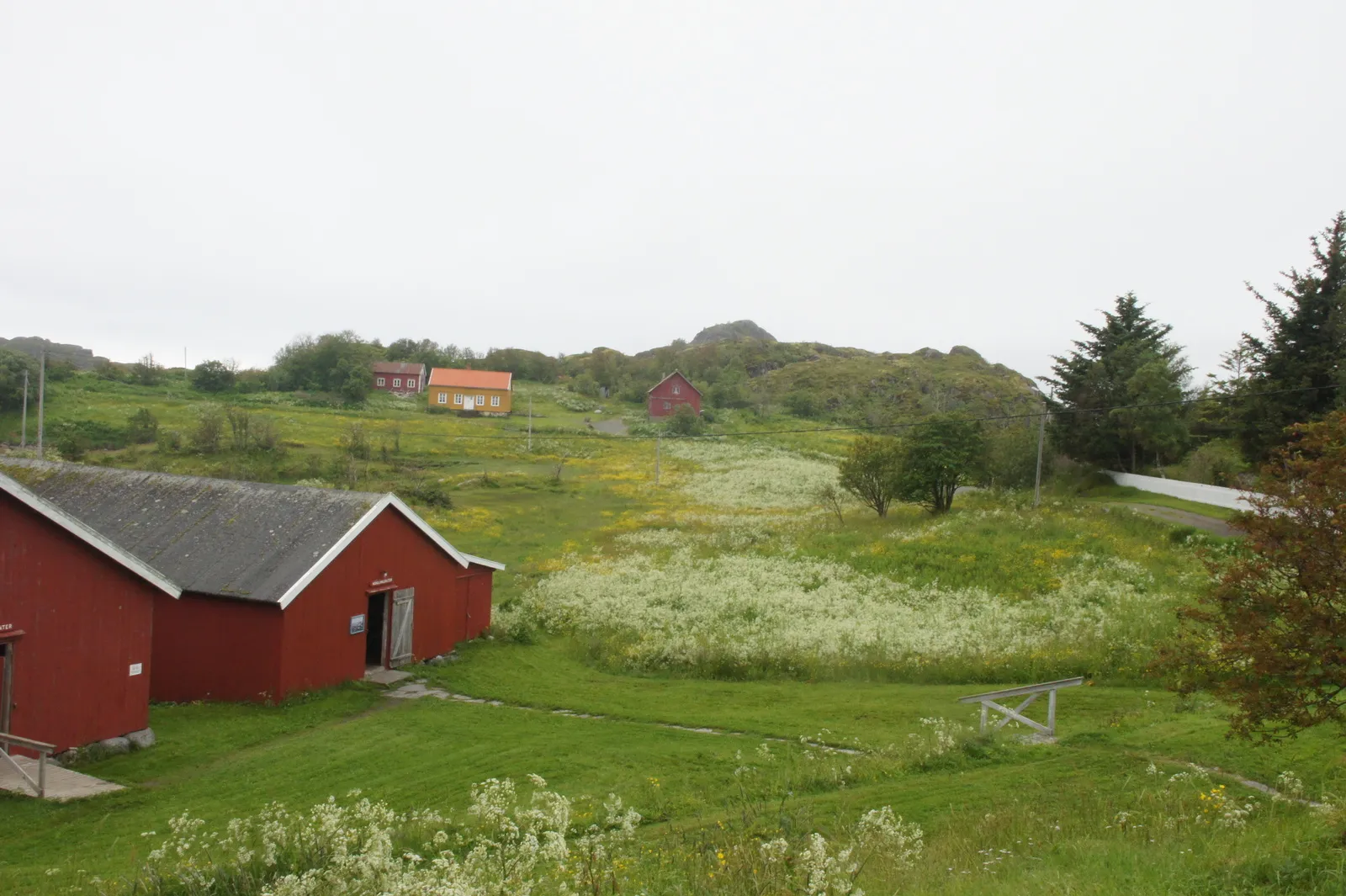 Skrei experience center