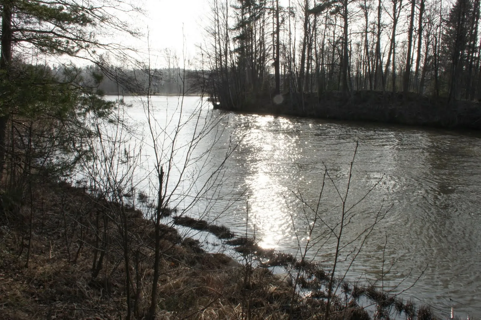 Karjaa