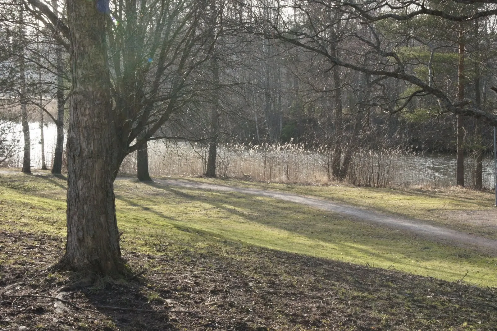 Karjaa