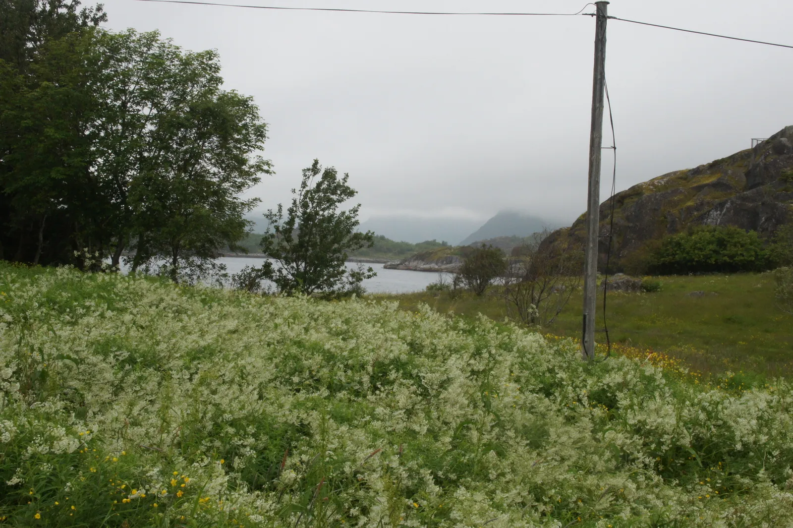 Skrei experience center