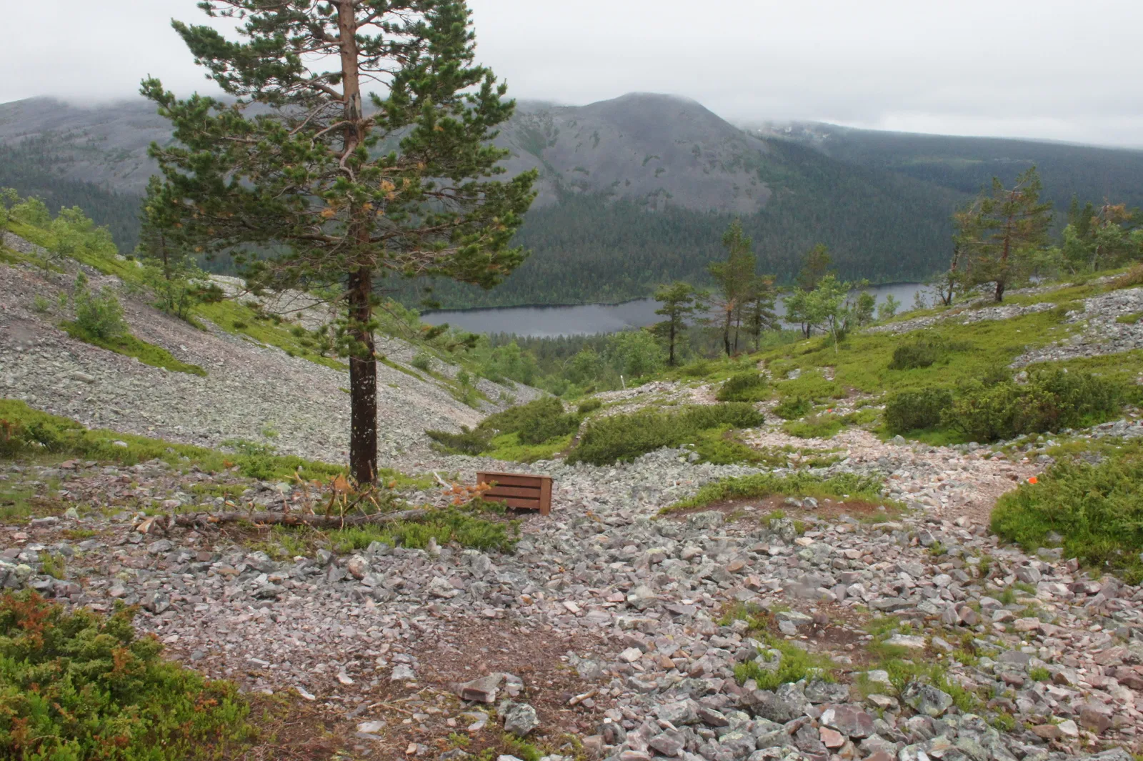 13.7 Pirunkuru - Tähtipolku // The Starry Way