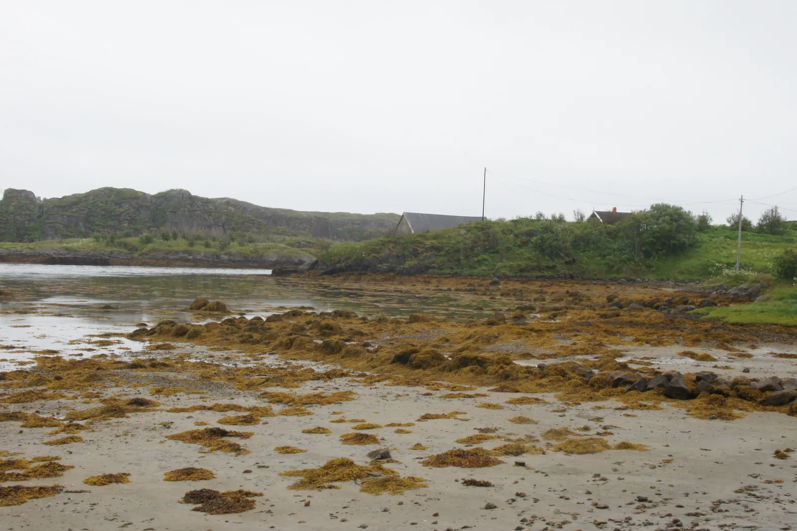 Skrei experience center