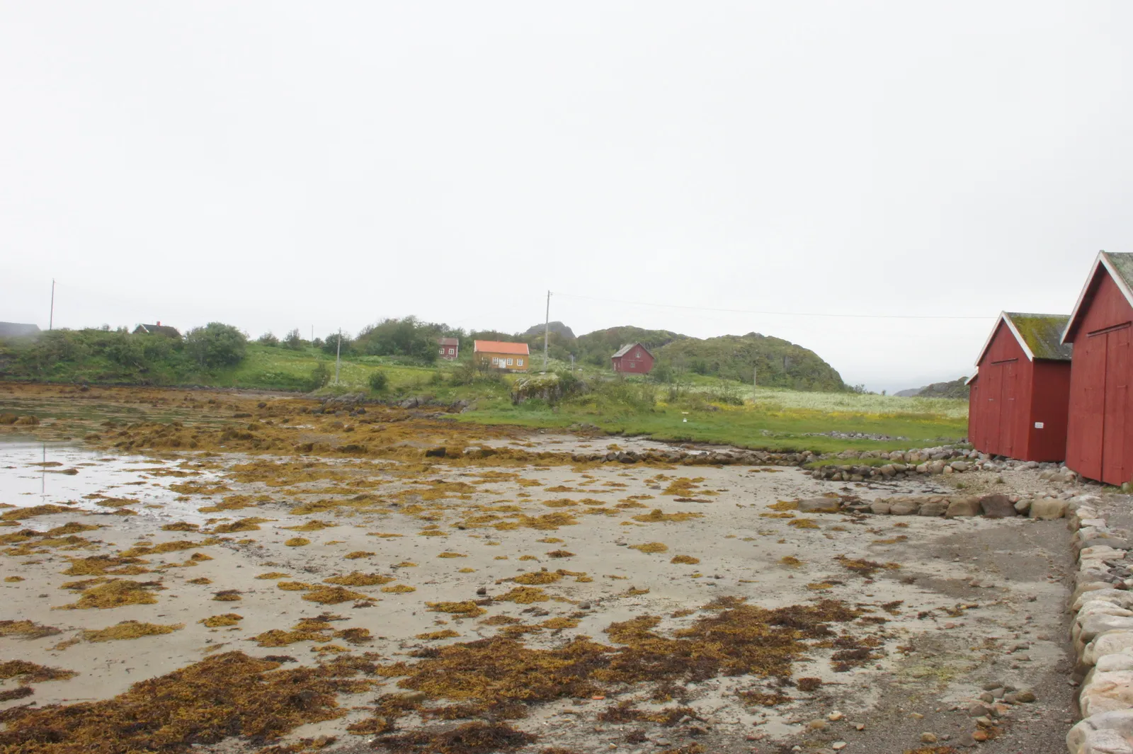 Skrei experience center