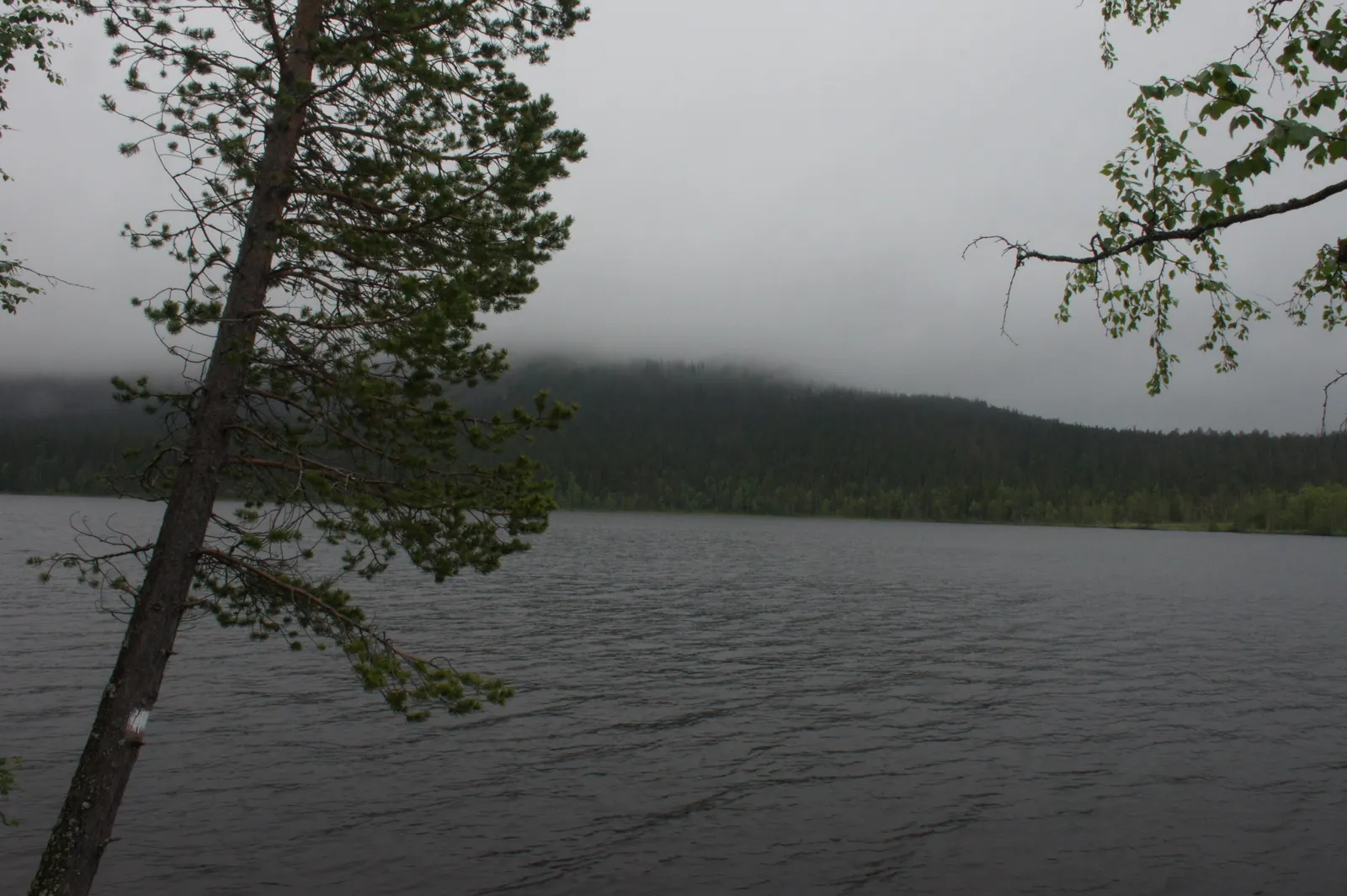 14.7 Kesankijärvi - Hillapolku // The Cloudberry Path