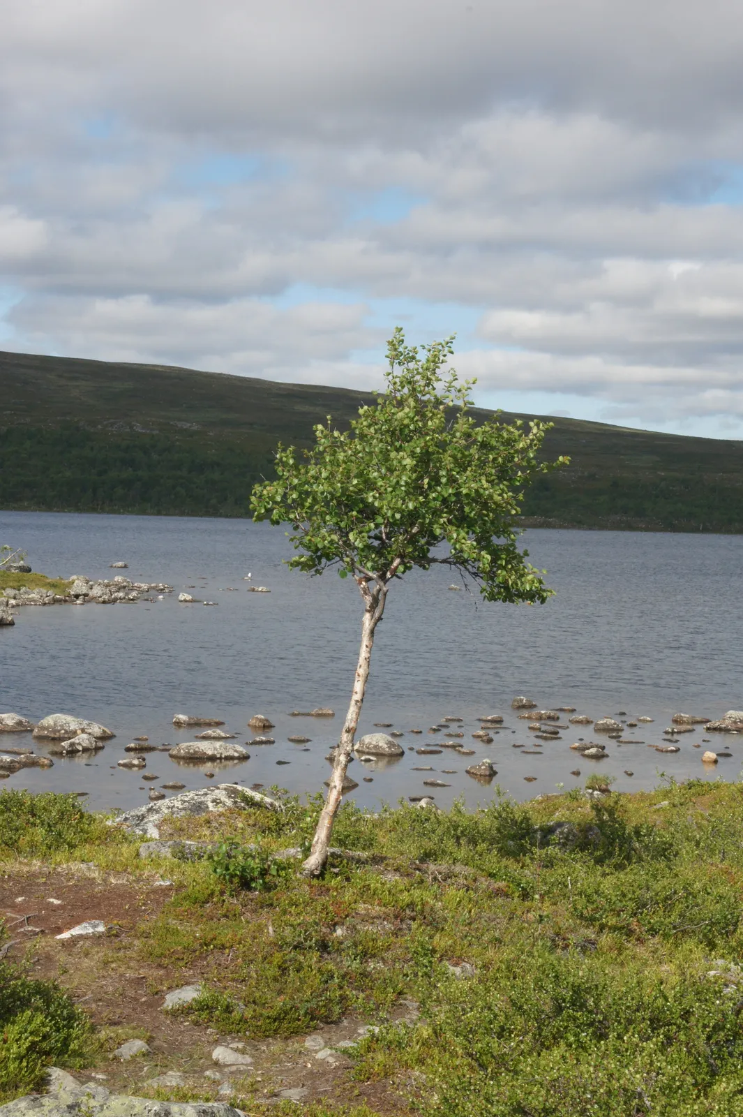 9.7 Kilpisjärvi