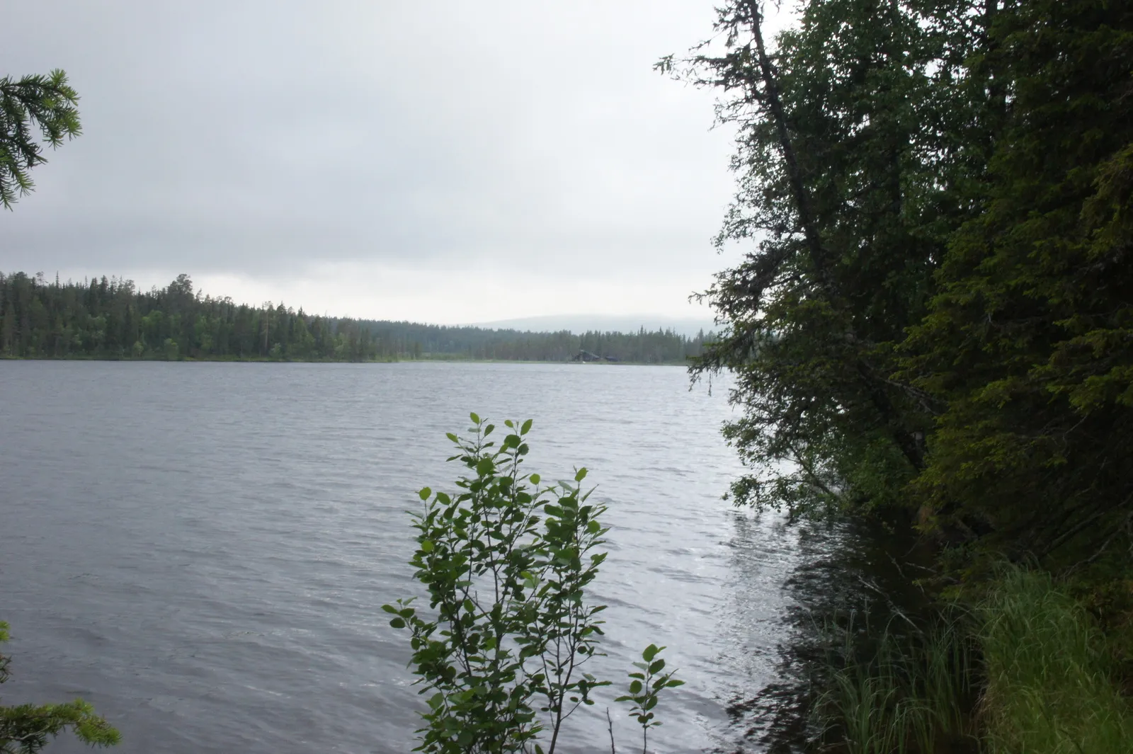 14.7 Kesankijärvi - Hillapolku // The Cloudberry Path