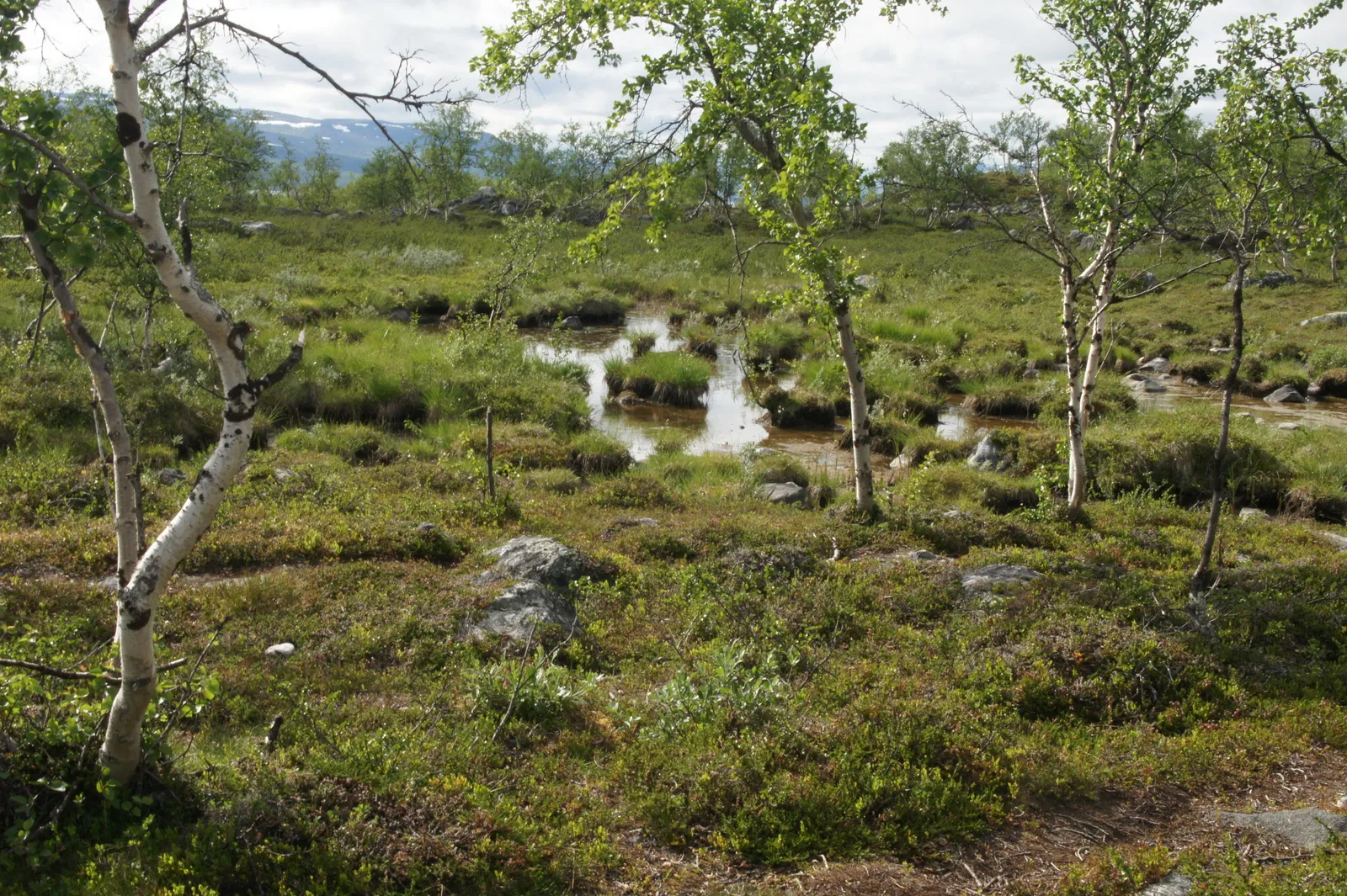 9.7 Kilpisjärvi