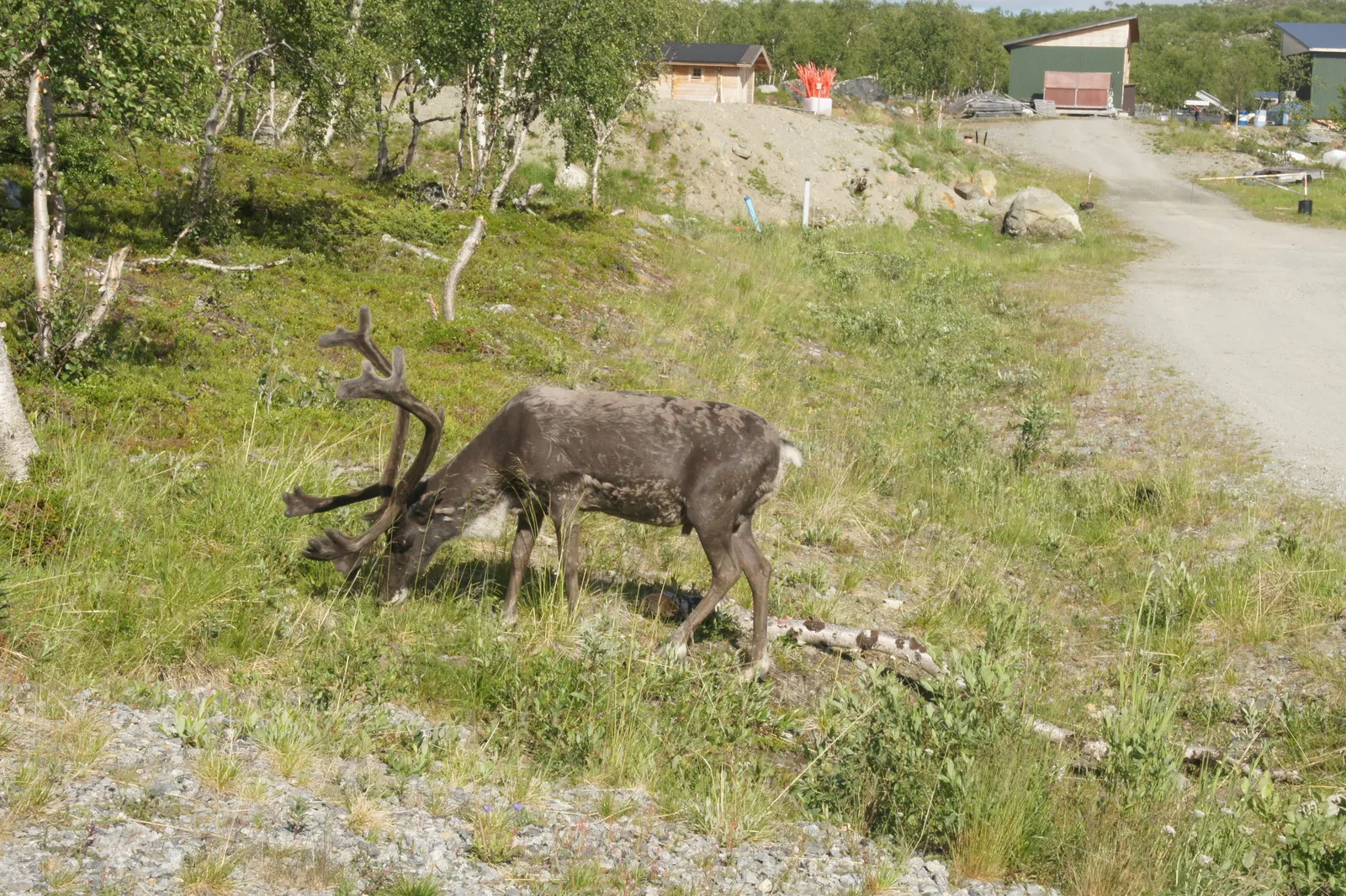 9.7 Kilpisjärvi