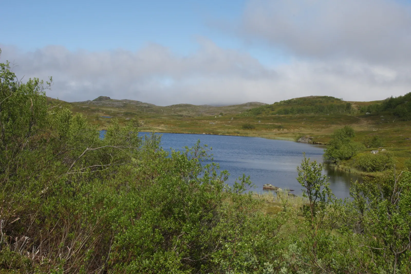 On the road from Grense Jakobselv back to Kirnekes, 7.7