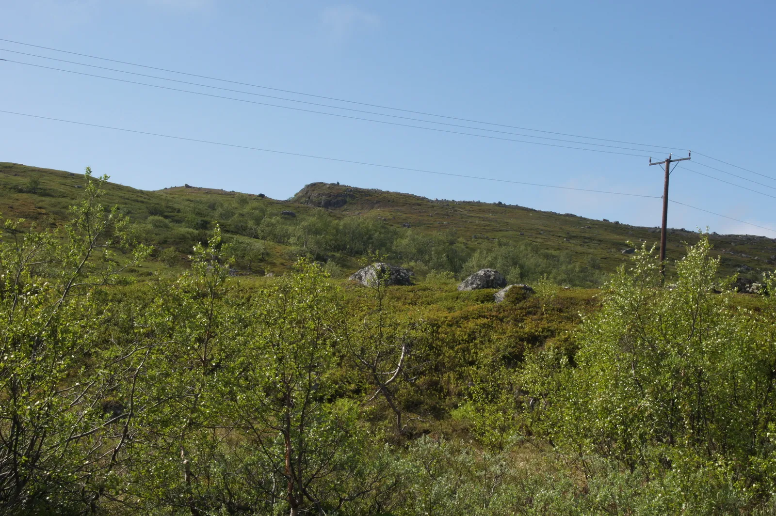 On the road from Grense Jakobselv back to Kirnekes, 7.7