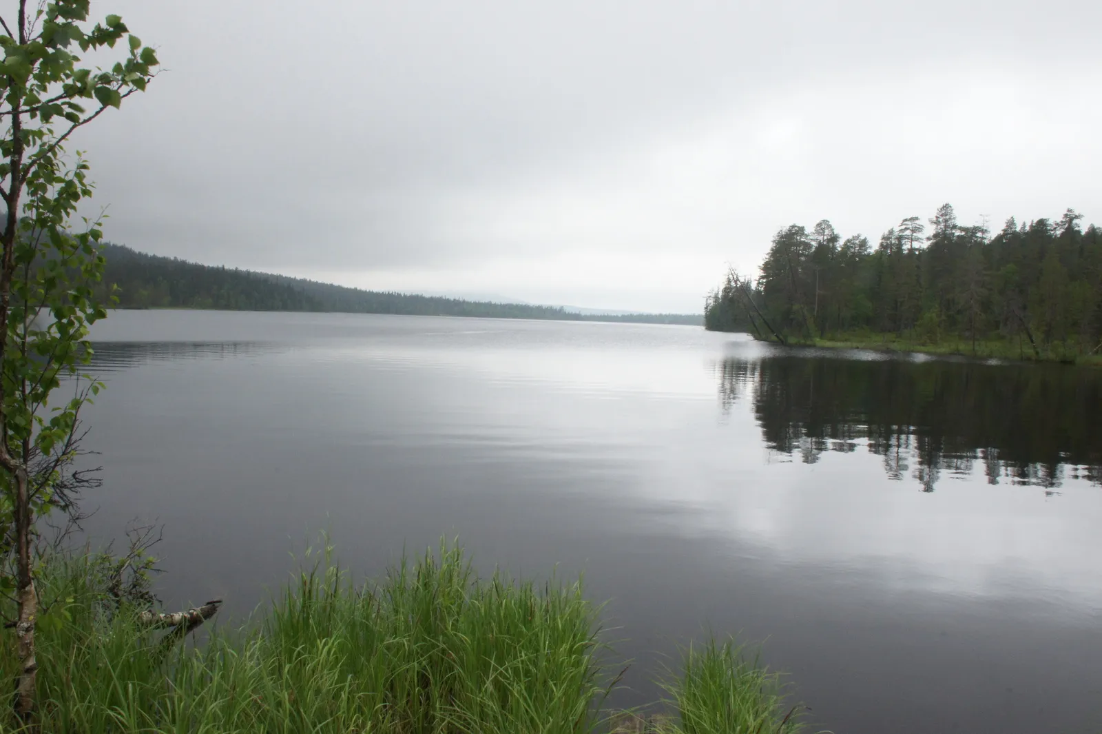 14.7 Kesankijärvi - Hillapolku // The Cloudberry Path