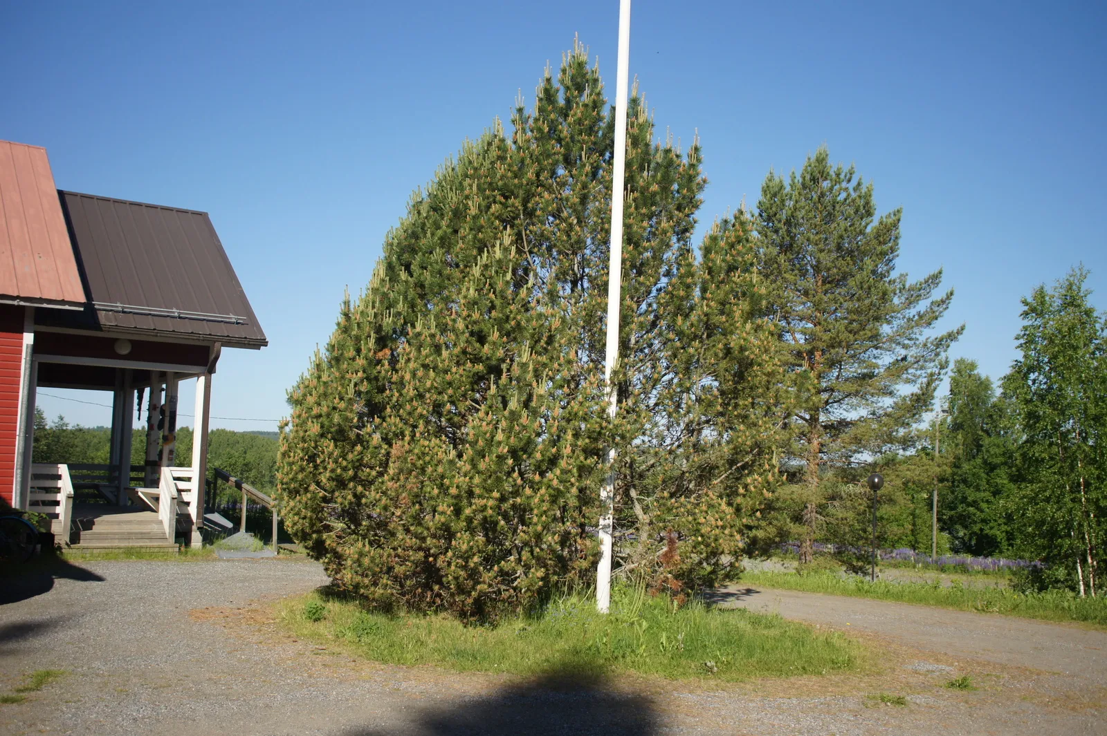 3.7 Hirvilahti