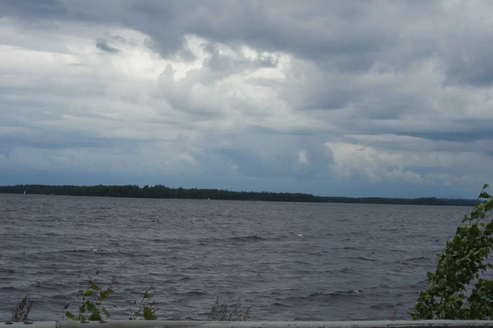Puutossalmi, Kuopio