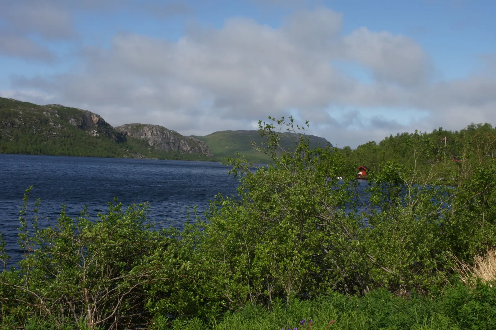On the road from Grense Jakobselv back to Kirnekes, 7.7