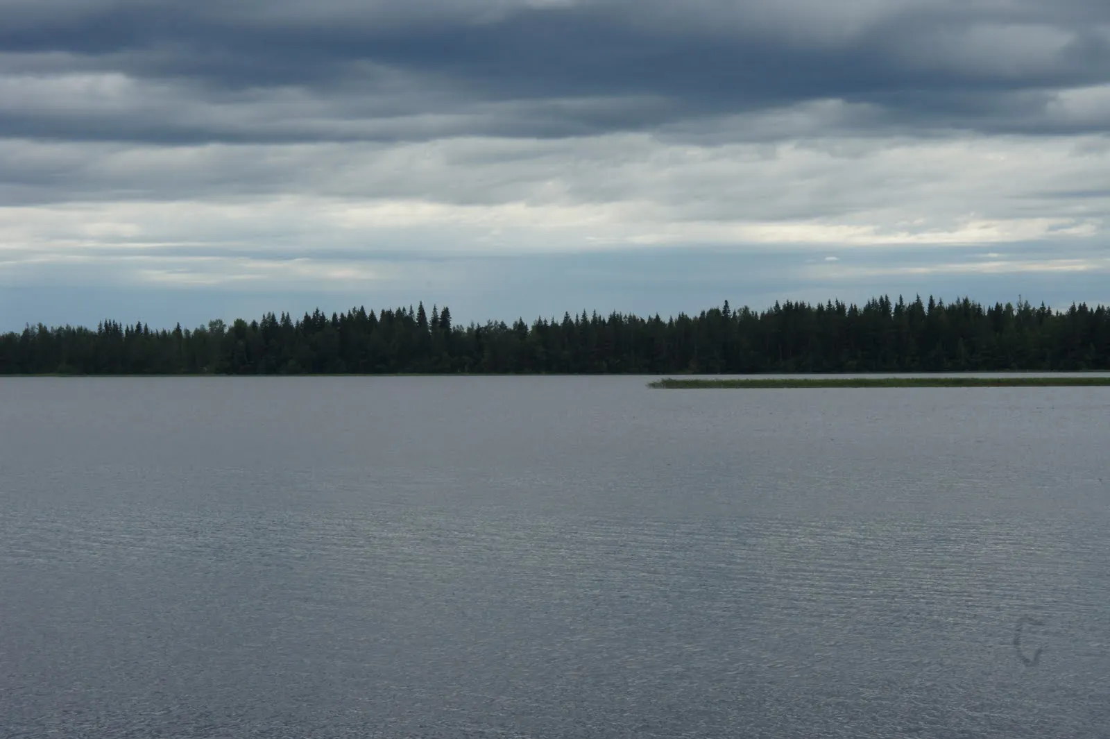Puutossalmi, Kuopio