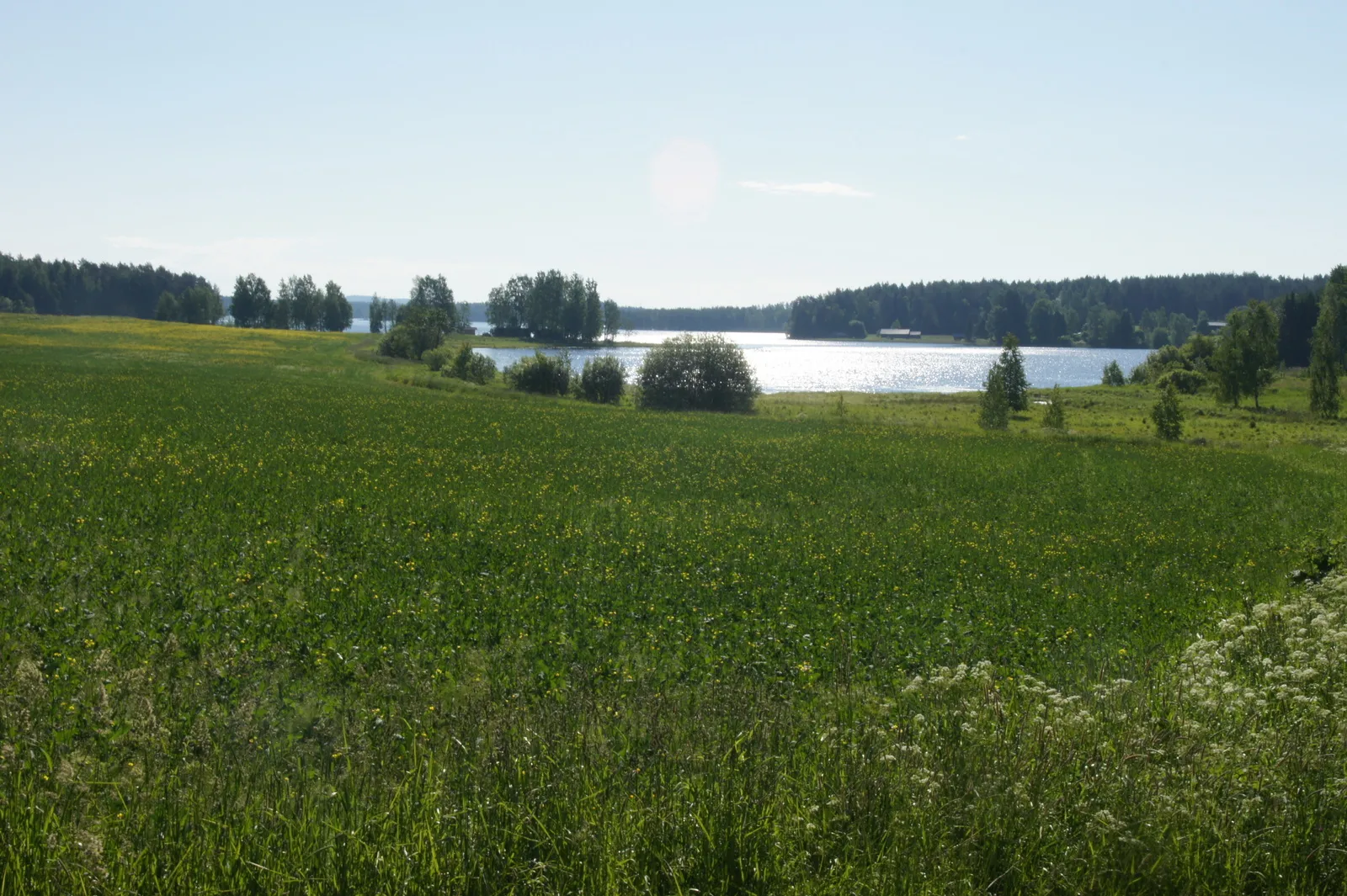 3.7 Hirvilahti