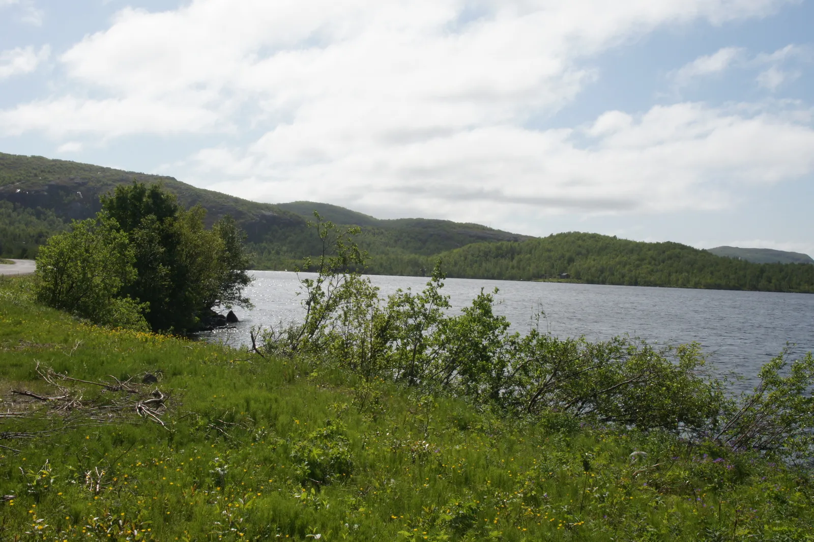 On the road from Grense Jakobselv back to Kirnekes, 7.7
