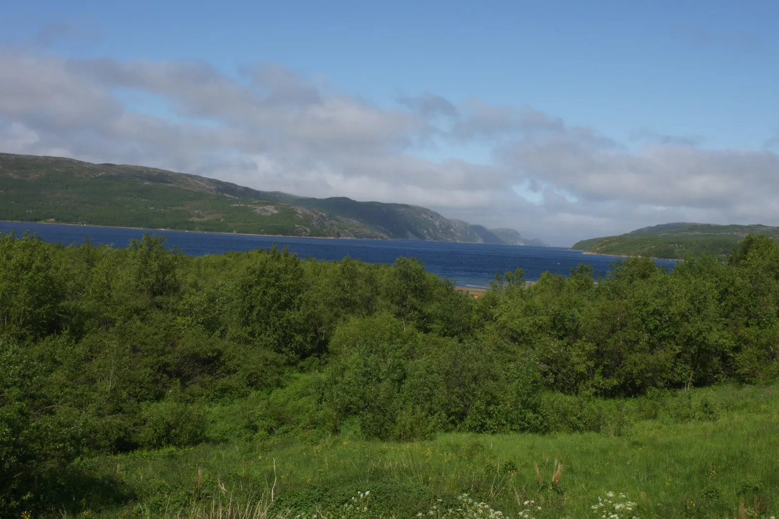 On the road from Grense Jakobselv back to Kirnekes, 7.7