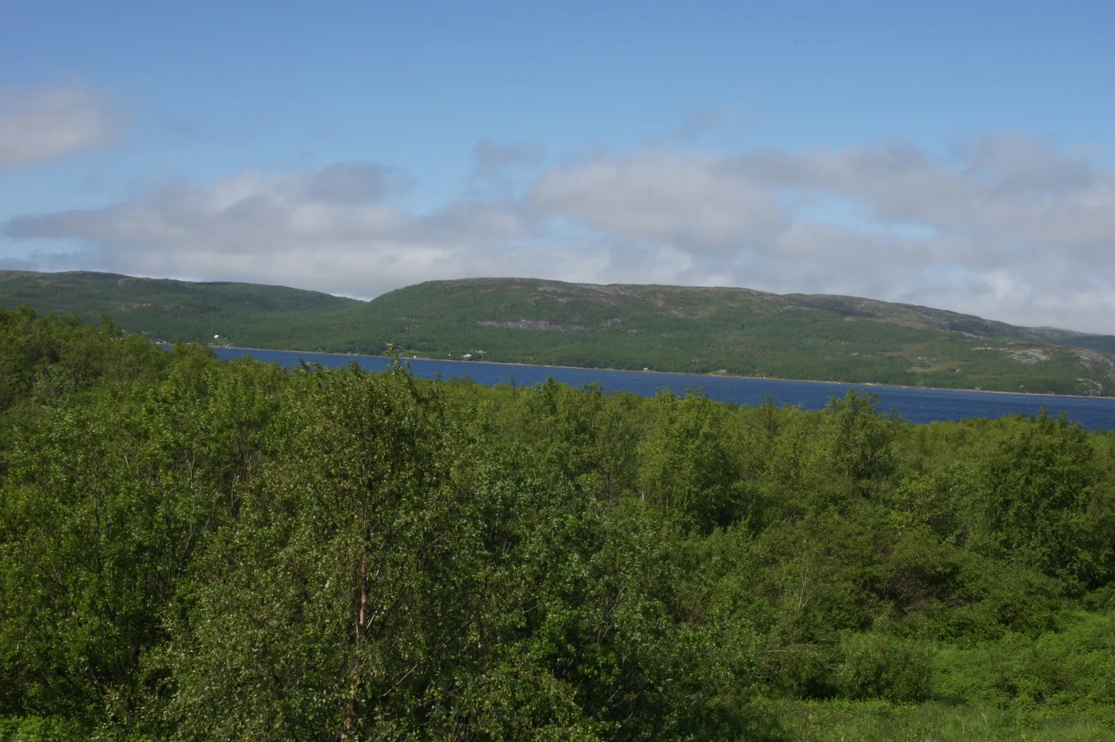 On the road from Grense Jakobselv back to Kirnekes, 7.7