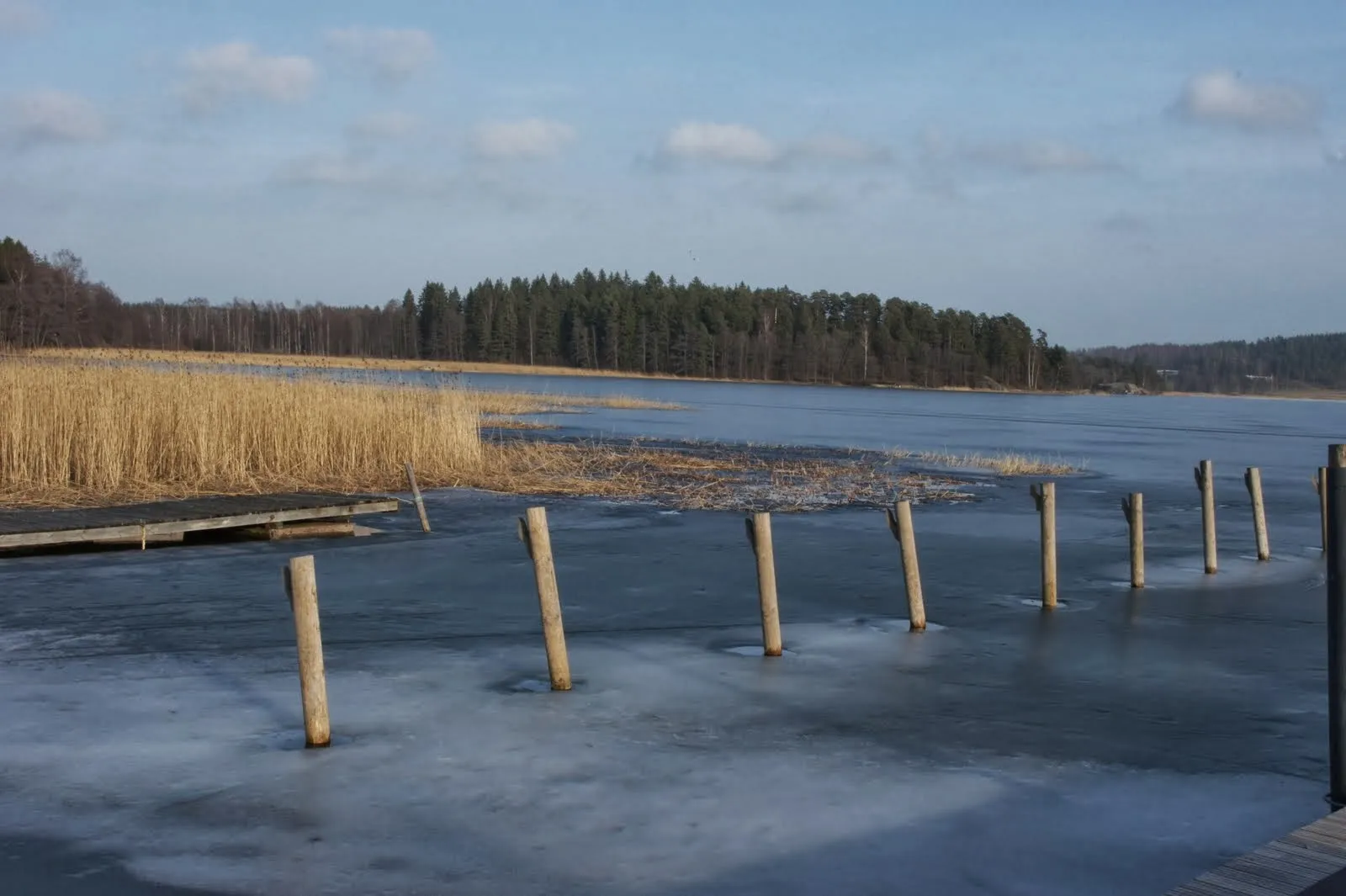 Pohja