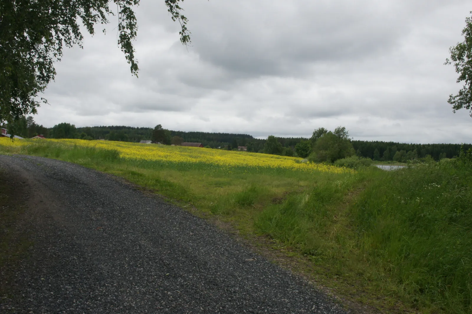 5.7 Hirvilahti