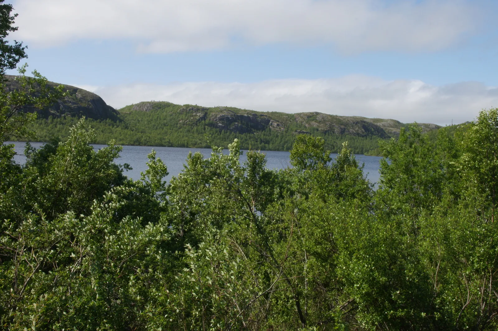 On the road from Grense Jakobselv back to Kirnekes, 7.7