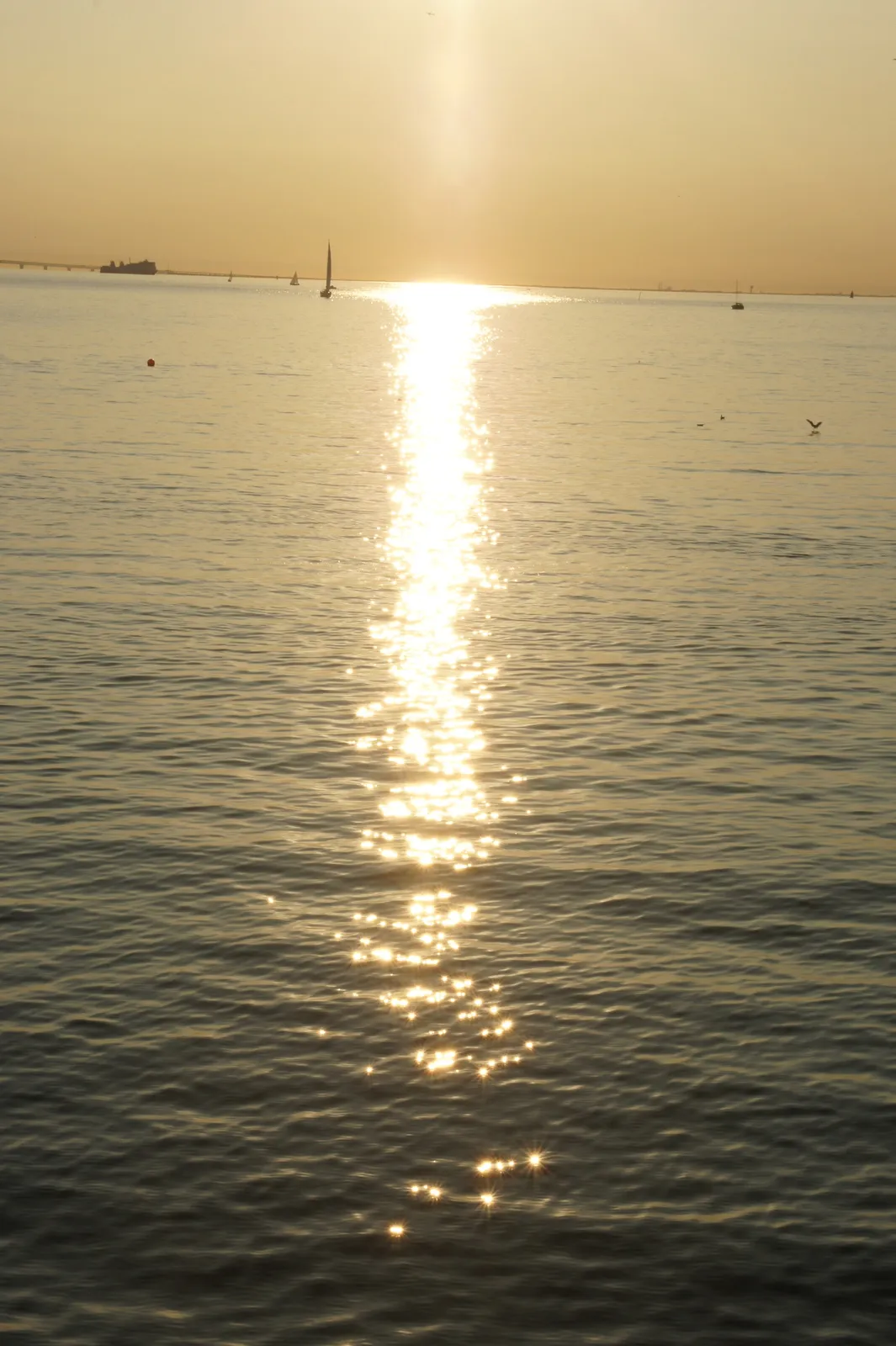 14.9 Baltic sea from Malmö