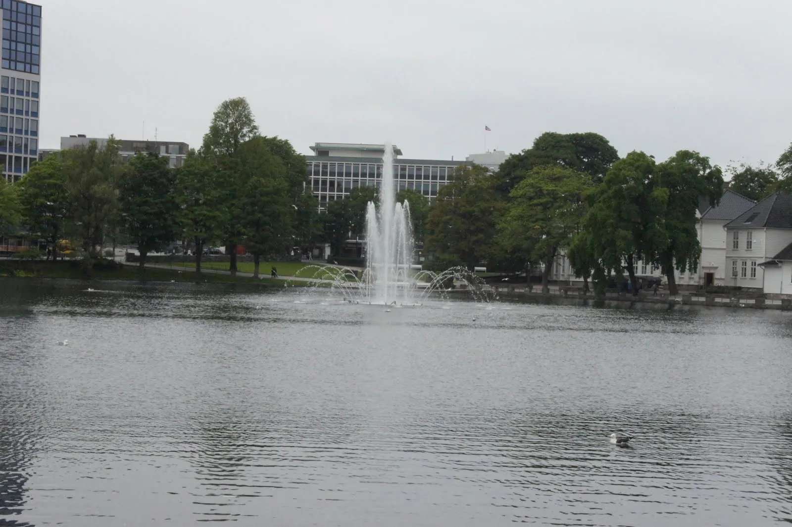 Breiavatnet