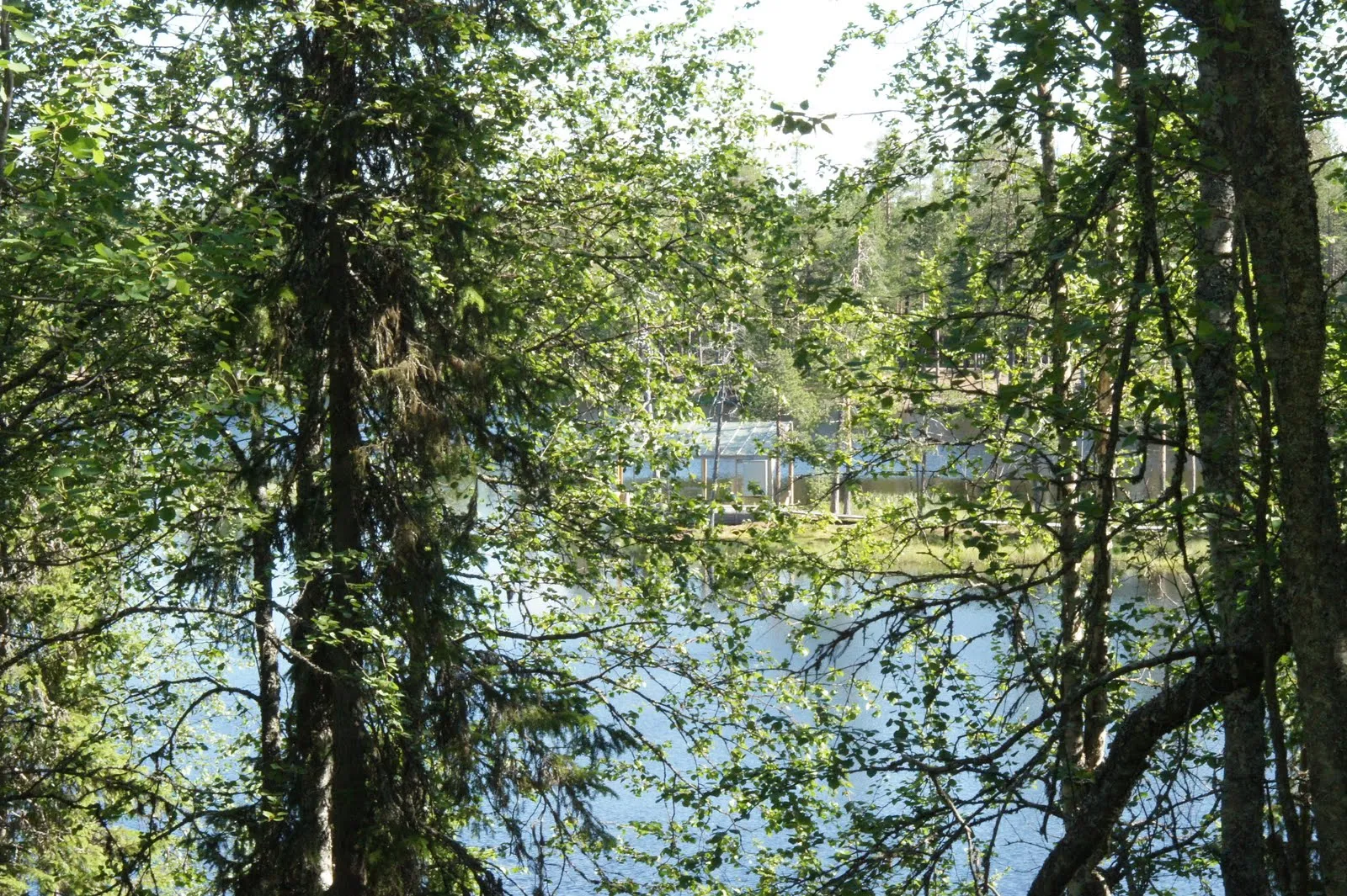 Ahvenlampi lake