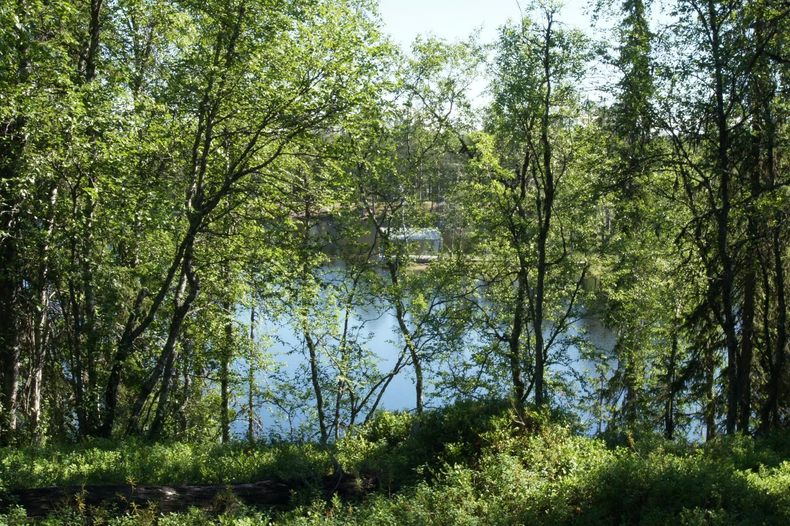 Ahvenlampi lake