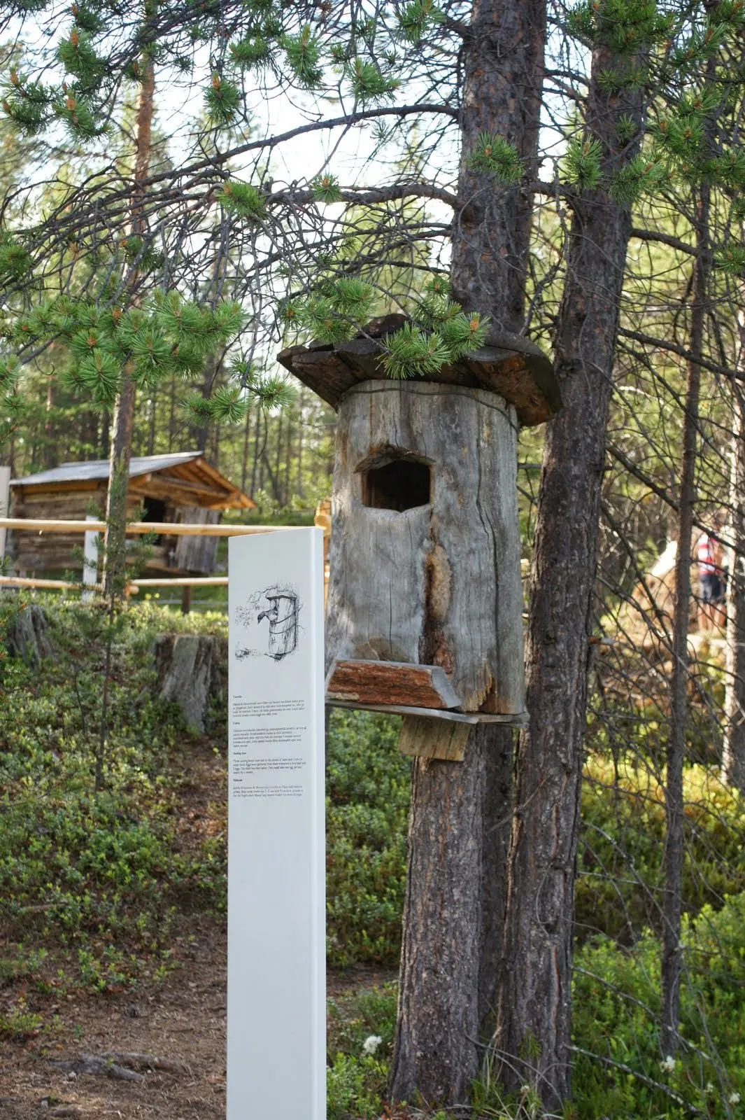 8.7 Saamelaismuseo Siida, Inari // Sami museum Siida, Inari