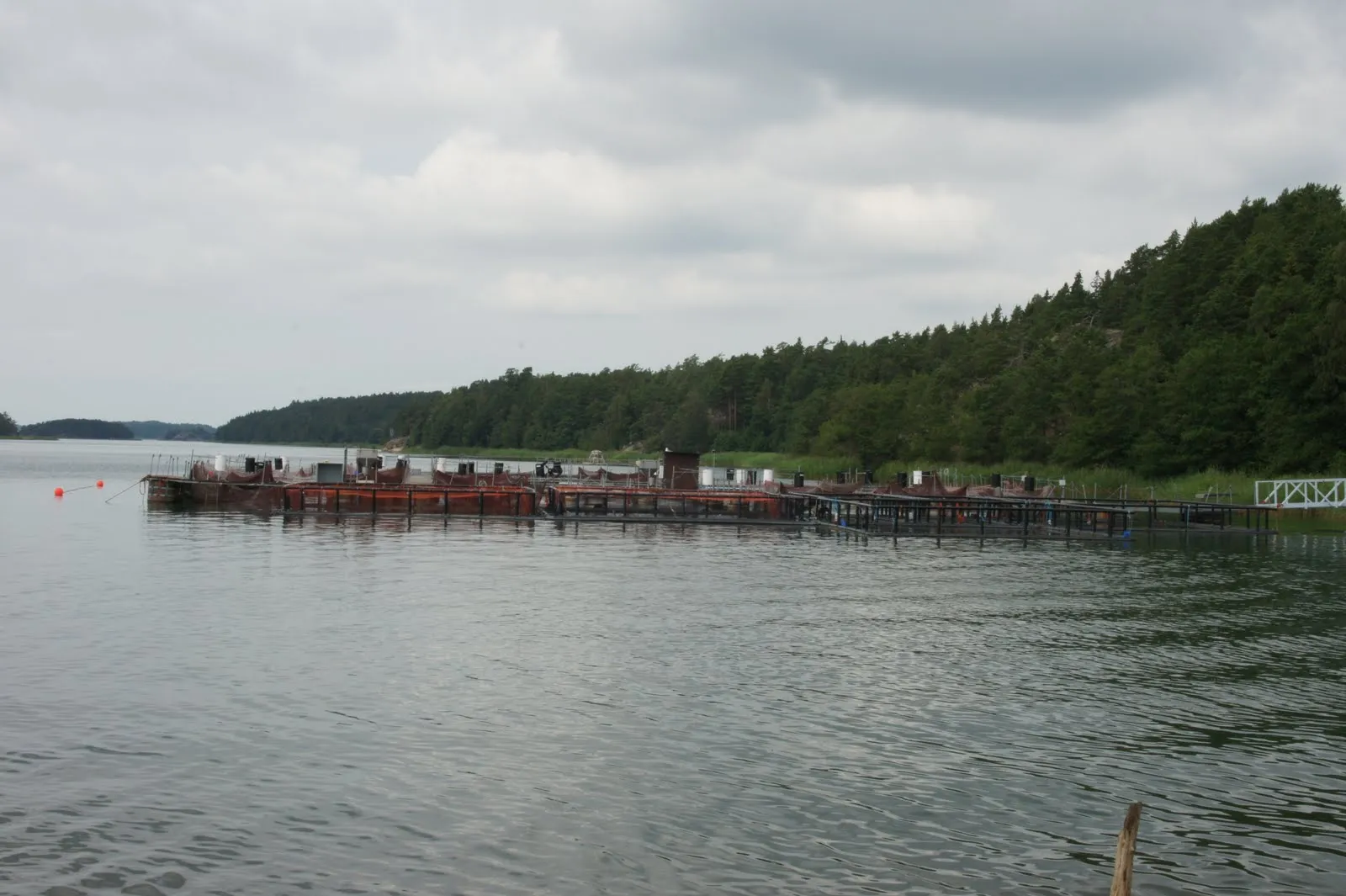 Hämmärönsalmi lautan laituri