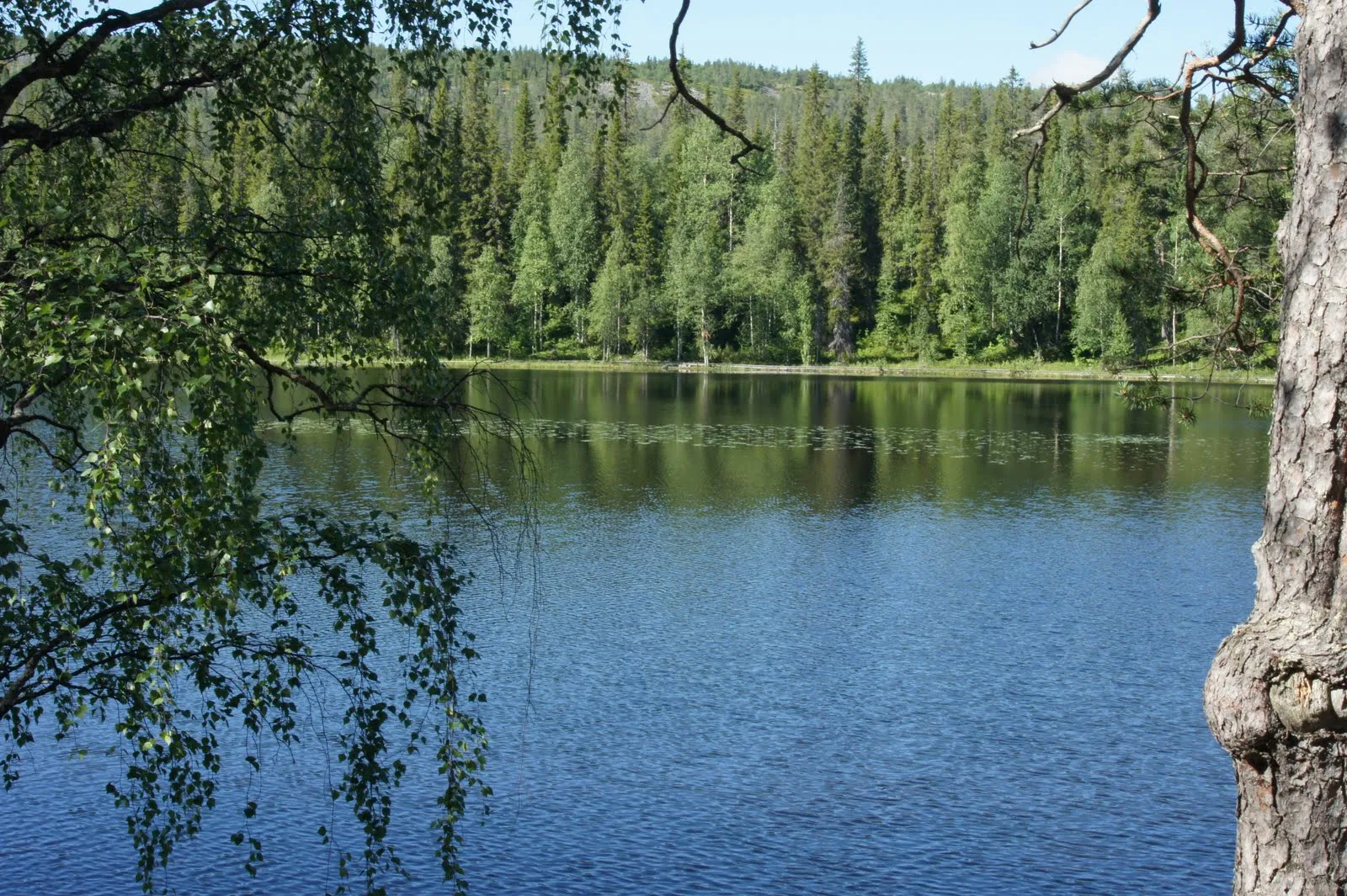 Ahvenlampi lake