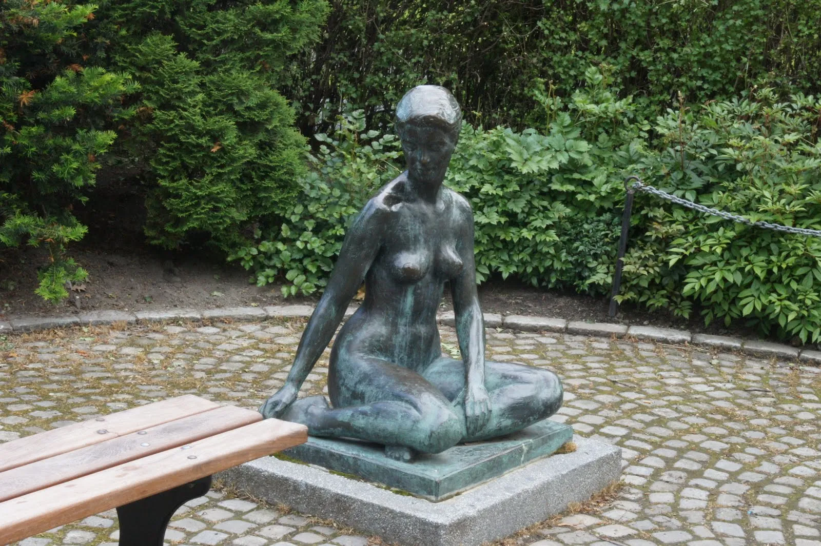 Naked chick